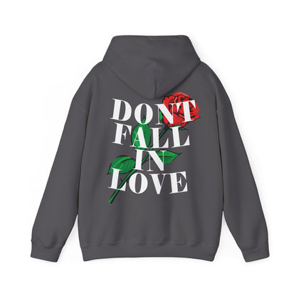 DFIL hoody