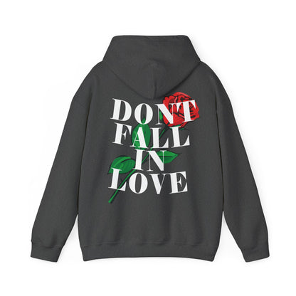 DFIL hoody