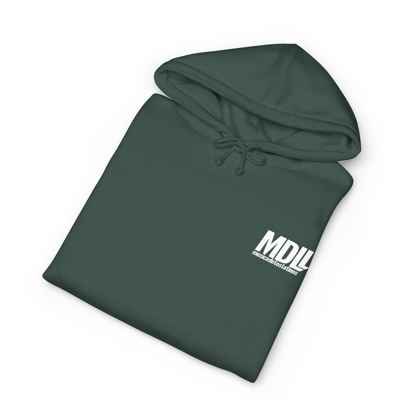 AELV hoody